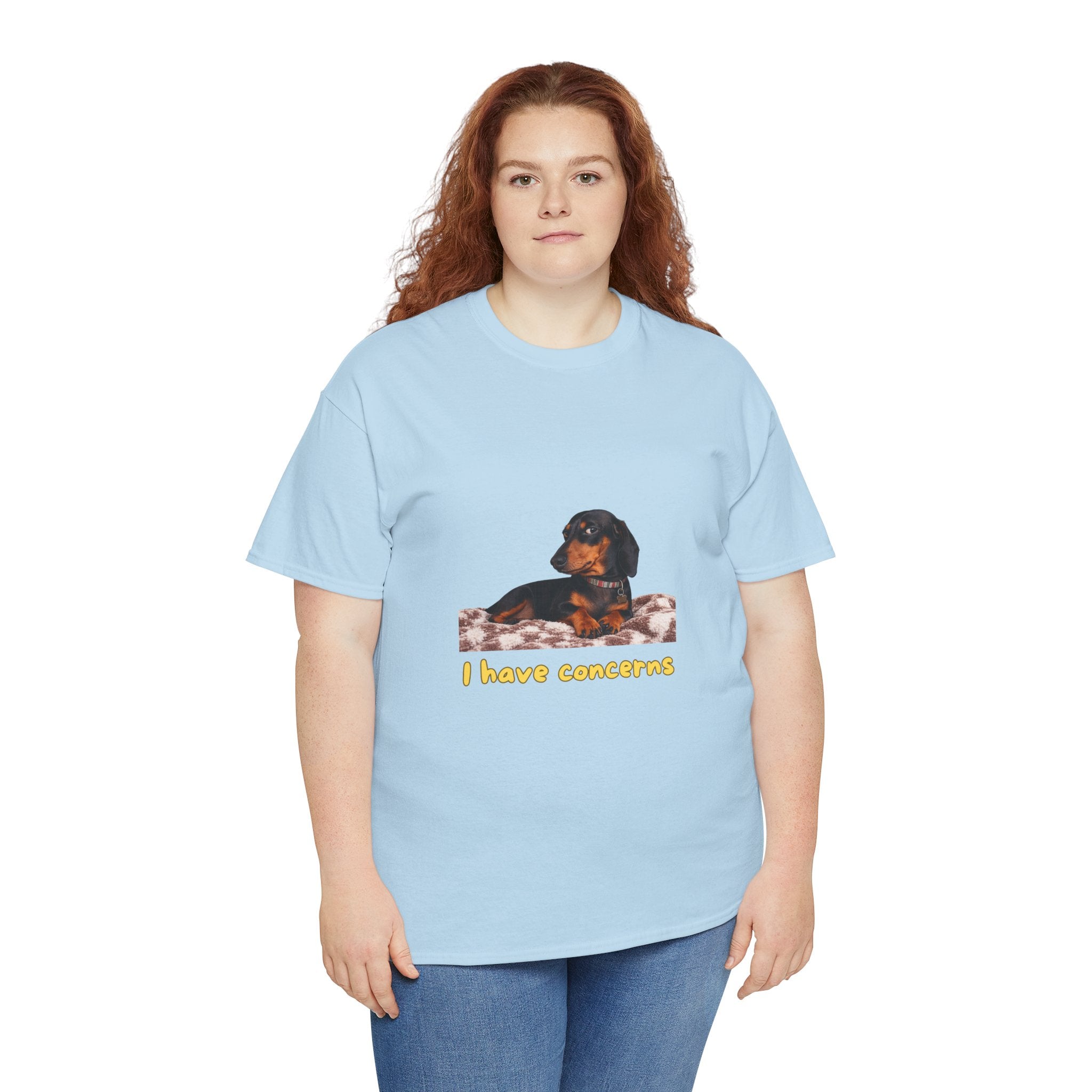 I Have Concerns T-Shirt – Funny Dachshund Side Eye Dog | Sausage Dog Wiener Dog Attitude Graphic Tee