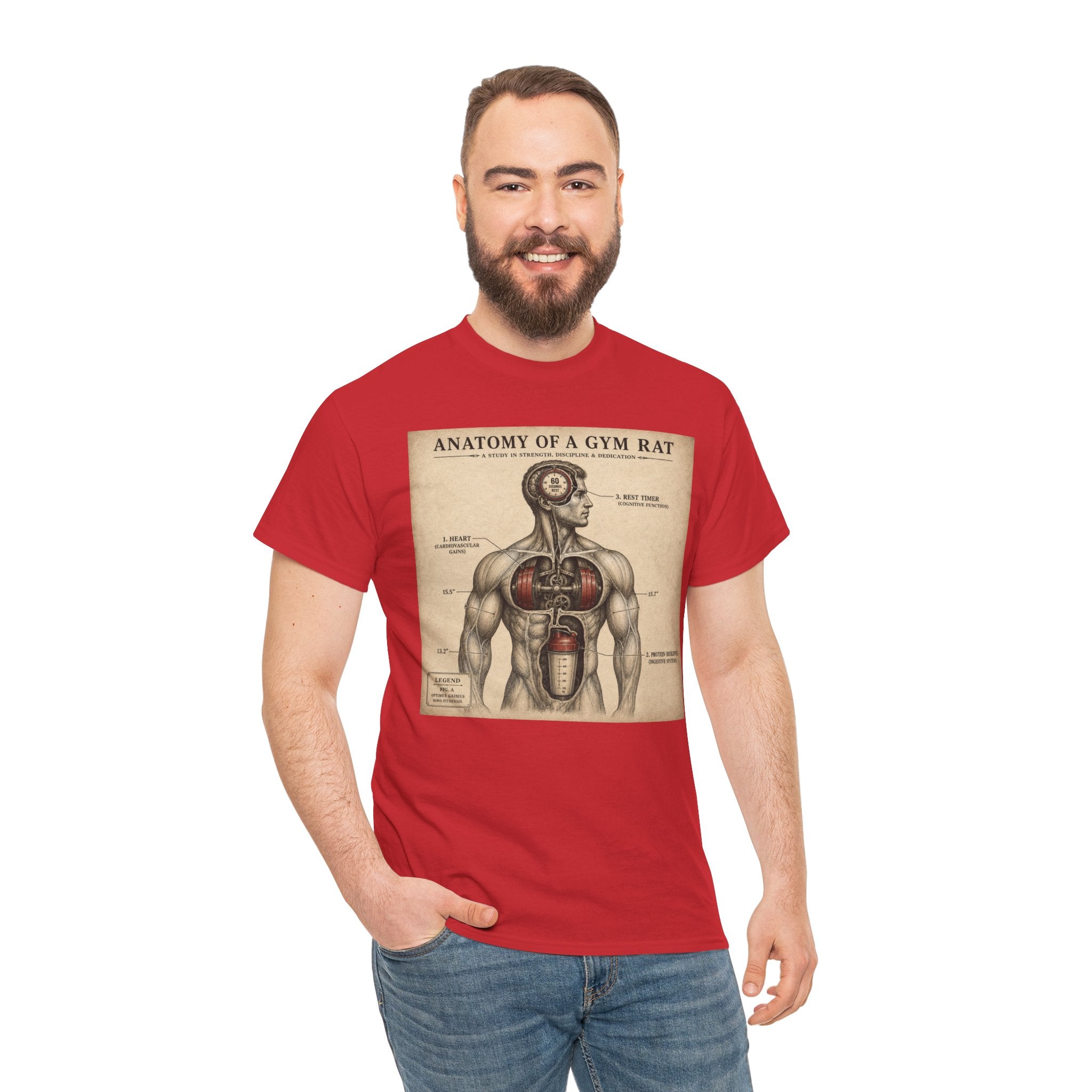 Anatomy of a Gym Rat T-Shirt | Funny Fitness Diagram Tee