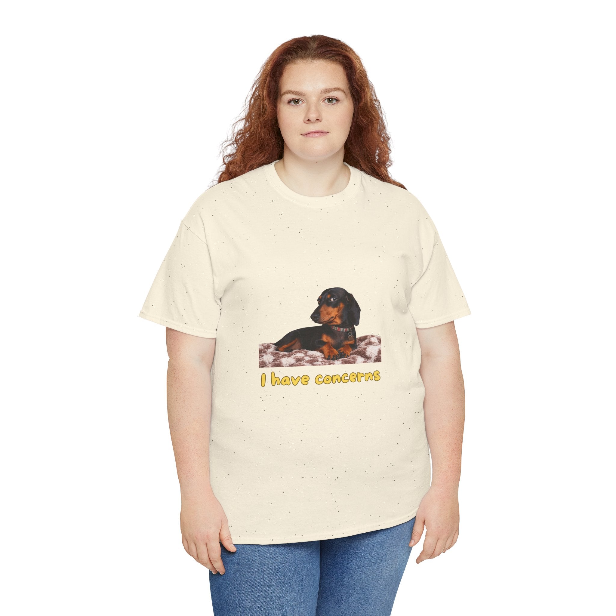 I Have Concerns T-Shirt – Funny Dachshund Side Eye Dog | Sausage Dog Wiener Dog Attitude Graphic Tee